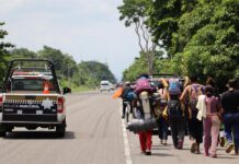 Migrantes