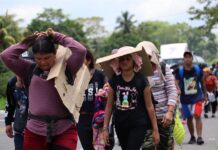 Migrantes