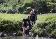 El paso de migrantes por la selva del Darién se redujo un 99 % en 2025, con 3.091 cruces el Darién