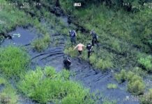 El opositor cubano Manuel Milanés es baleado en el sur de Florida el momento del arresto del hombre que disparó a Manuel Milanés, identificado como Heriberto Callejas