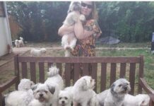 Los otros héroes de la pandemia Angy con su familia perruna
