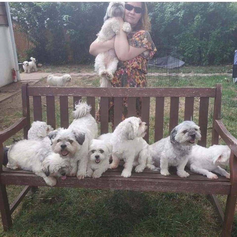 Angy con su familia perruna