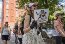 La escritora y una de las fundadoras del tour de gatos en Brooklyn, Peggy Gavan (2)