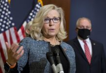 Liz Cheney reafirma apoyo a Harris y ataca a Trump y JD Vance: "Son unos cerdos misóginos" Liz Cheney