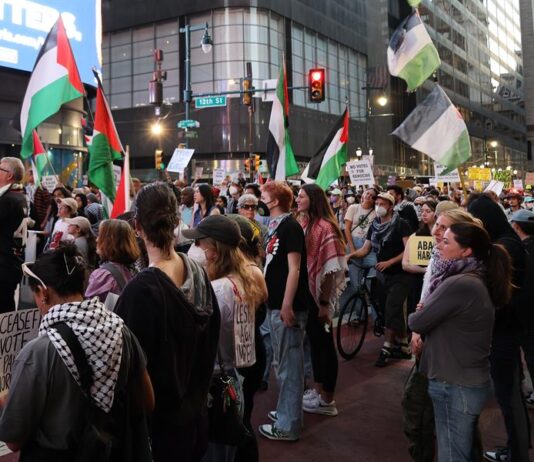 Personas se manifiestan en favor a Palestina cerca al Centro Nacional de la Constitución (1)