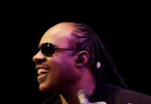 Stevie Wonder