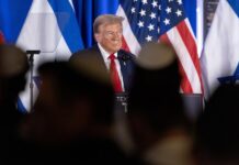 El huracán Milton obliga a posponer dos encuentros de Donald Trump con votantes latinos Donald Trump