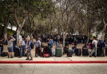 Campesinos mexicanos que llegan a EE.UU. crean un 'bosque de maletas de esperanza' Jornaleros se reúnen para trasladarse y trabajar en campos agrícolas de California (3)