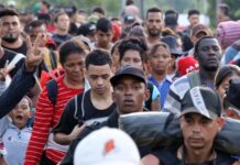 Migrantes
