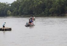 Migrantes
