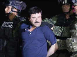 El 'Chapo' Guzmán pide de nuevo ayuda a Sheimbaum para que interceda en su repatriación a México 'el Chapo' Guzmán