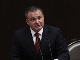 exsecretario de Seguridad Pública Genaro García Luna