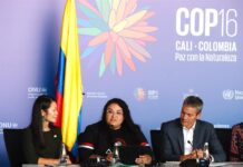 Nativos de EE.UU. urgen a Biden desde la COP16 a declarar áreas protegidas en California