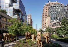 la instalación de elefantes indios de la exposición 'The Great Elephant Migration'