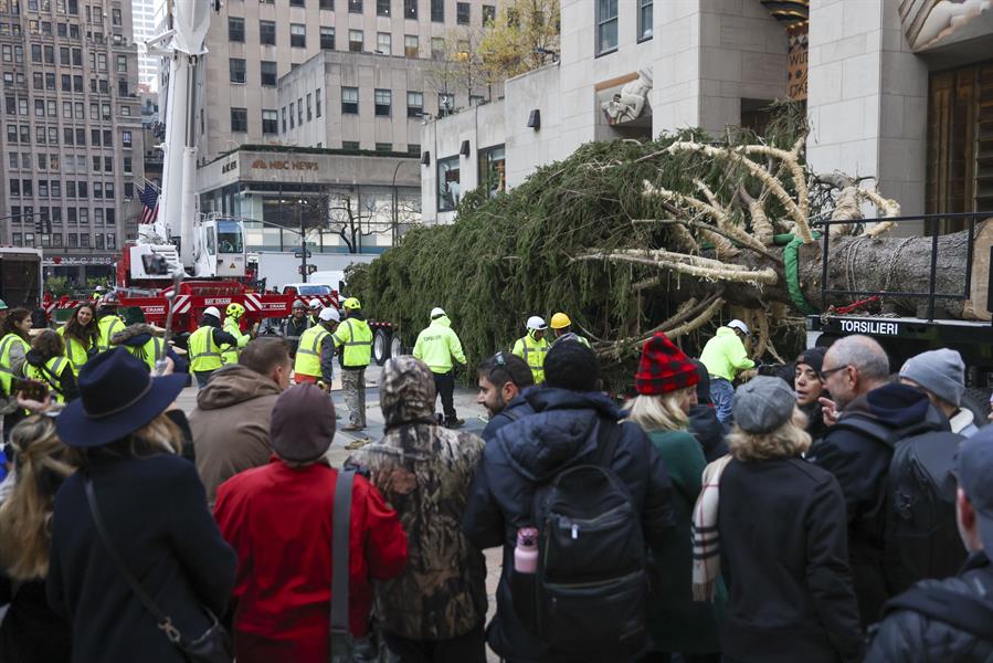 El árbol de Navidad del Rockefeller Center llega a Nueva York (2)