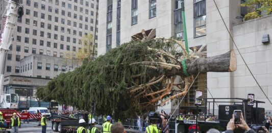 El árbol de Navidad del Rockefeller Center llega a Nueva York (3)