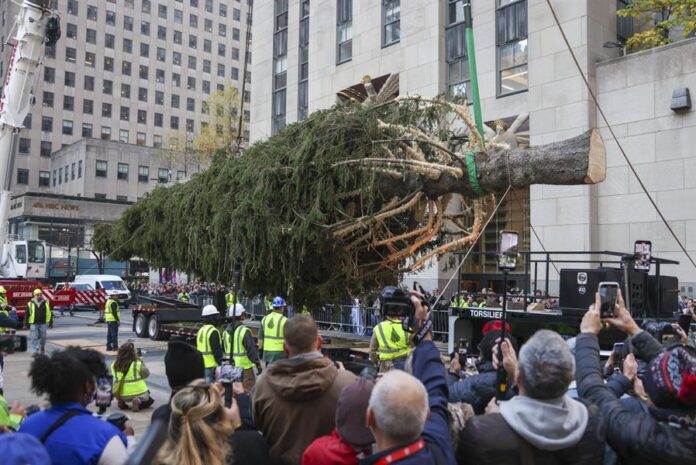 El árbol de Navidad del Rockefeller Center llega a Nueva York (3) El árbol de Navidad del Rockefeller Center llega a Nueva York (3)