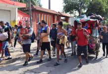 Migrantes