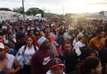 Migrantes
