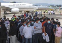 Migrantes