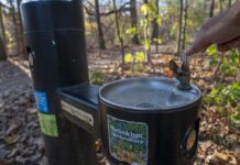 Calores históricos en un otoño casi sin agua ponen a Nueva York ante una sequía inédita Una persona intenta sacar agua de un bebedero público este lunes en el Prospect Park de Brooklyn