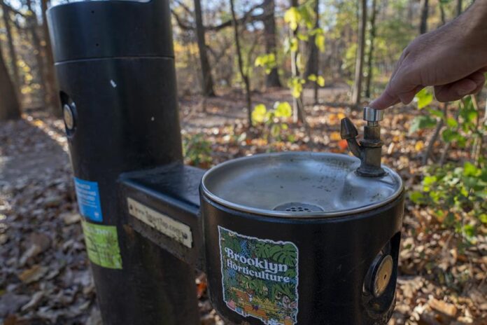 Una persona intenta sacar agua de un bebedero público este lunes en el Prospect Park de Brooklyn