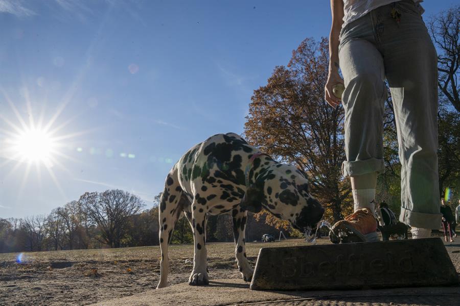 Una persona pulsa el bot&oacute;n de agua para mascotas este lunes, en el Prospect Park de Brooklyn
