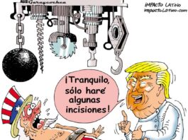 Algunas incisiones en el Gobierno caricatura