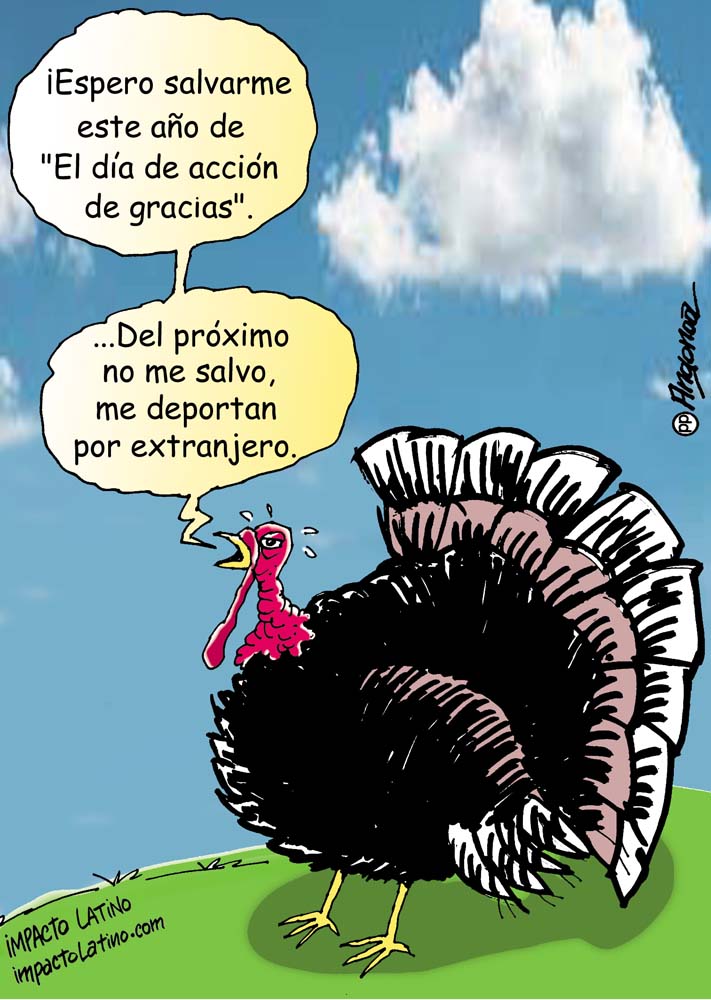 caricatura (