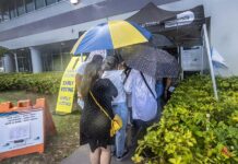 elecciones anticipadas