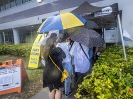 elecciones anticipadas