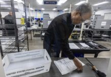 elecciones anticipadas