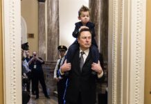 Trump responde a las críticas sobre la influencia de Musk: "Él no asumirá la presidencia" Elon Musk,