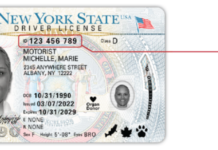 Nueva York se prepara para la implementación obligatoria de la REAL ID en 2025 REAL ID?