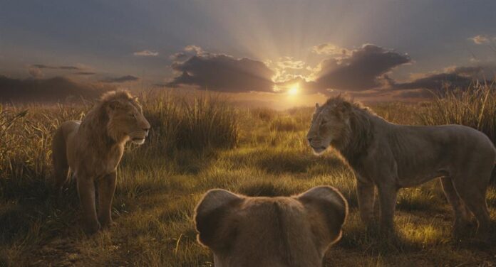 La gran estrella de este año es, sin duda, la nueva versión de 'El rey León', un prodigio de acción real que se estrena la semana antes de la Navidad