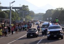 Migrantes