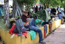 Grandes donantes de Trump emplean mexicanos sin visado de trabajo