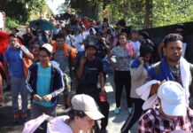 Migrantes