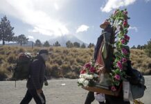 Un grupo de peregrinos camina rumbo a la Basílica de Guadalupe (1)
