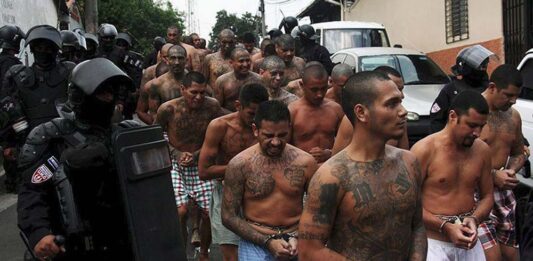 ms13