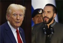 Donald Trump (i), y su homólogo de El Salvador, Nayib Bukele.