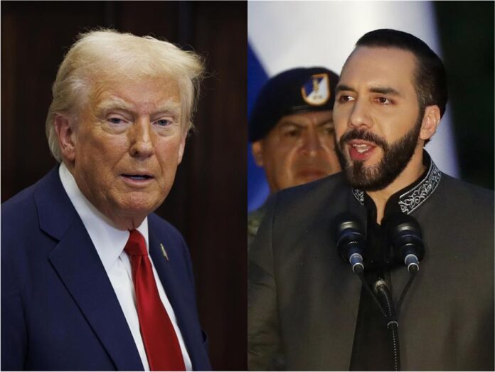 Donald Trump (i), y su homólogo de El Salvador, Nayib Bukele.
