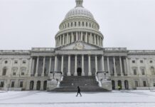 El Senado confirma a Jay Clayton, nominado por Trump, como jefe de Inteligencia El Congreso de Estados Unidos