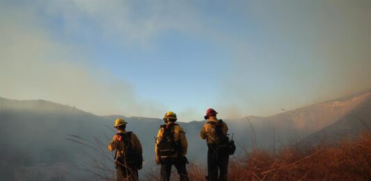 Los bomberos