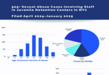 NYC GVA Jan. 2025 Infographic
