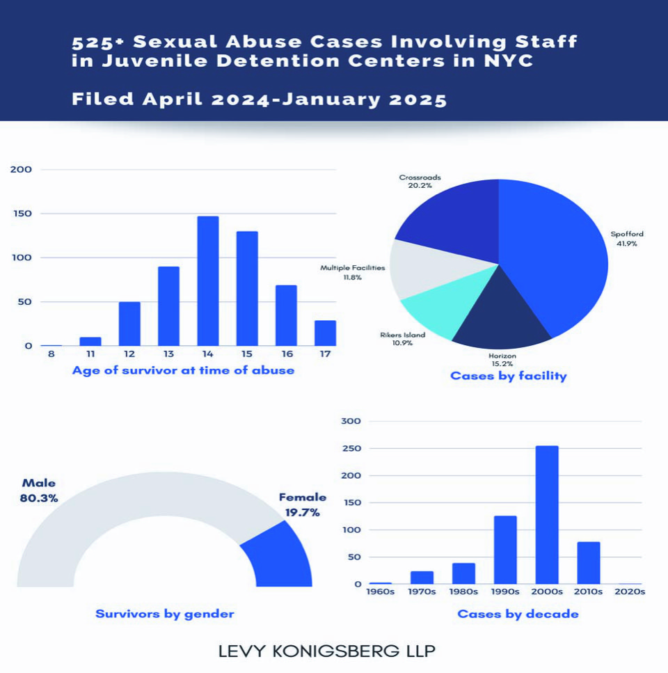 NYC GVA Jan. 2025 Infographic