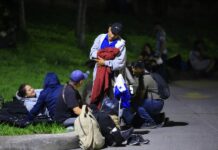 migrantes