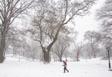 tormenta de nieve