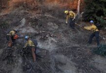 incendio