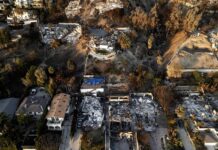 De Beyoncé a DiCaprio, Youtube o Disney, donaciones millonarias para los incendios de Los Ángeles incendios en Los Angeles (2)